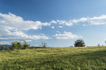 Fototapeta na wymiar Spring, Clouds and green meadow