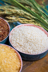 Green rice ears from Camargue rice fields in France and valiety of dried rice in bowls
