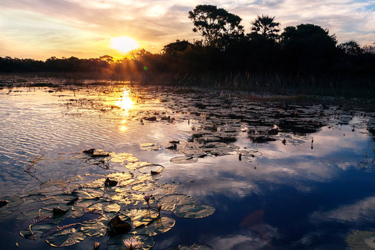 Okavango River, Okanvango Delta,  Botswana