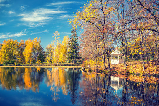 Sunny autumn landscape with blue sky over the lake