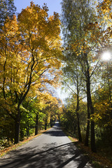 Colorful autumn sunny Landscape from the central Bohemia, Czech Republic