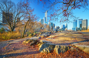 Central park in New York City at autumn morning, USA