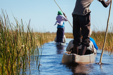Man in canoe , Okavango river  - 176768520