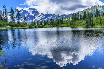 Picture Lake Evergreens Clouds Reflection Mount Shuksan Washington USA