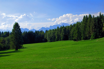 Fototapeta na wymiar Alpine meadow in the Dolomites, Italian Alps