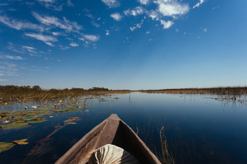 Okavango river, Okanvango delta,  Botswana - 176768923