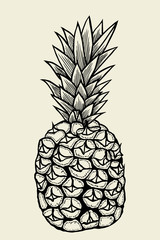 Vector hand drawn pineapple.