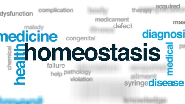 Homeostasis animated word cloud, text design animation.