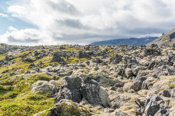 Fototapeta na wymiar Campo de lava de Arnarstapi en Islandia