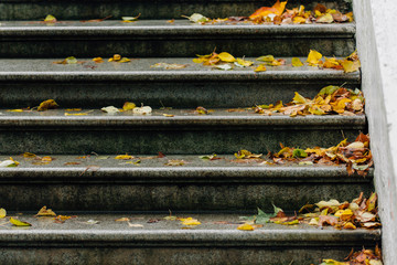 Colorful leaves on stairs. Beautiful autumn scene. Pretty fall