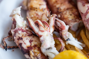 Grilled squid with lemon

