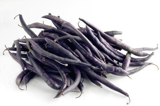 legumes of lila pea