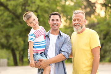 Cute boy with daddy and grandfather in park