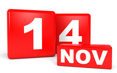 November 14. Calendar on white background.