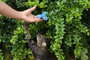 Woman rolling spinner and playing with cat outdoors