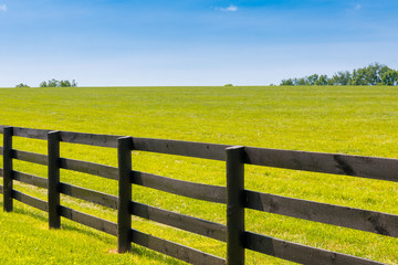 Green pastures of horse farms.