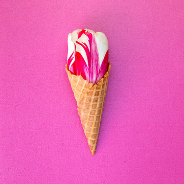 Tulip  flower in the ice cream waffle cone