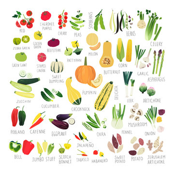 Clipart collection of tomatoes, peppers, squashes and other vegetables