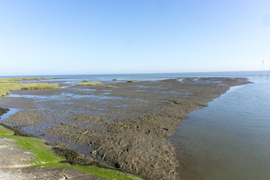Watt bei Ebbe