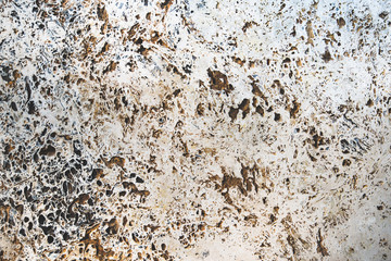 Canstatter Travertin im Detail