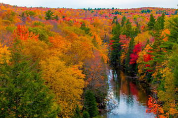 Upper Dead River Autumn