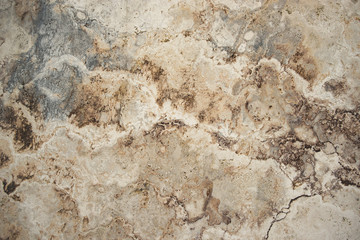Canstatter Travertin, Textur im Detail