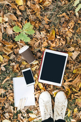 Flat lay view of autumn leaves, tablet, phone and paper cup of coffe. From above with legs