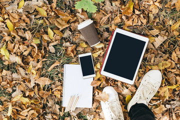 Flat lay view of autumn leaves, tablet, phone and paper cup of coffe. From above with legs