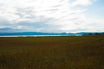 ソバ畑と猪苗代湖