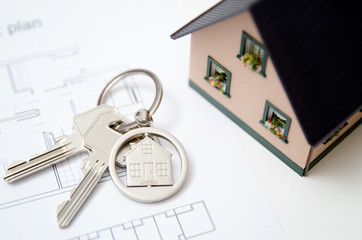 House key on a house shaped pendant.