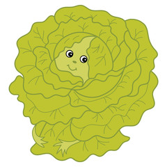 Vector Cartoon Green Cabbage 