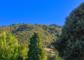 Fototapeta na wymiar Morning in Southern California mountains