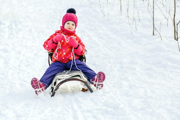 Fototapeta na wymiar Little cute caucasian girl having fun sledding in a forest or city park on a brighht sunny day