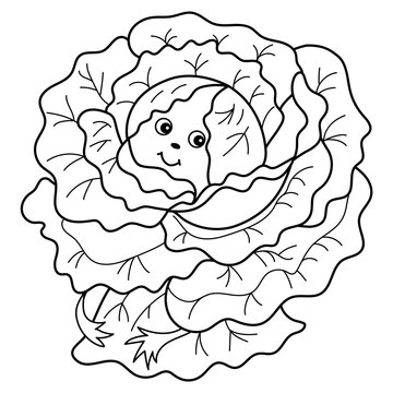 Vector Cartoon Cabbage 