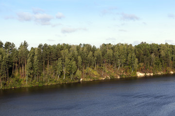 Trees near the river,