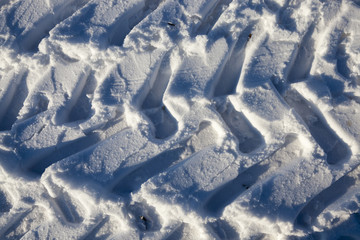 Obraz premium Winter season