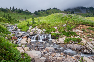 Mt. Rainier National Park
