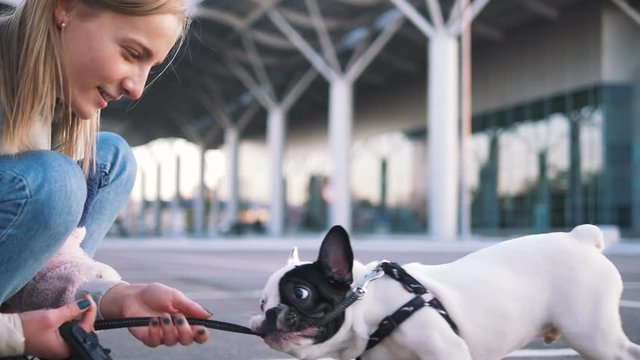 Young happy woman playing with little cute french bulldog on the road with urban backgorund