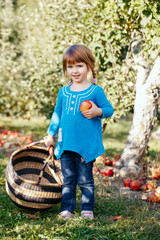 Closeup portrait of cute adorable little red-haired Caucasian girl child with blue eyes picking apples in garden on farm outside. Happy childhood  concept