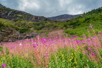 Obraz premium Glacier National Park 