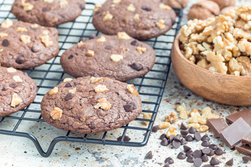 Homemade chocolate cookies with walnuts and chocolate chips on cooling rack, horizontal