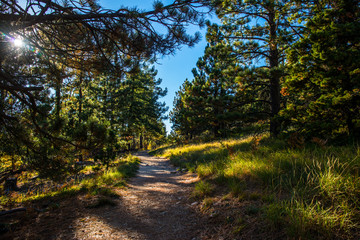 Path on Mt Lemmon Arizona