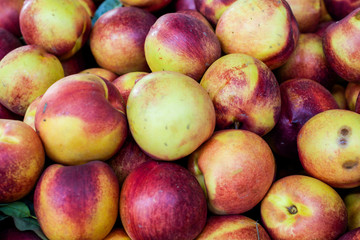 A group of nectarines - background or backdrop 