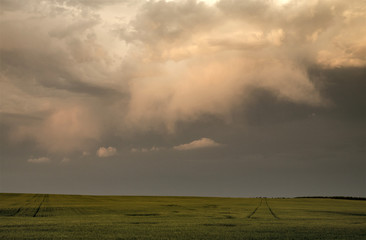 Fototapeta premium Storm Clouds Canada