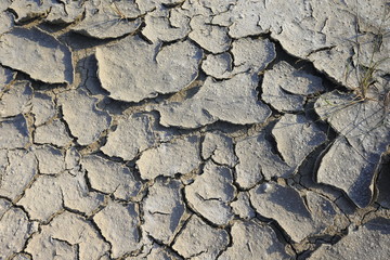 Climate warming dry chapped land