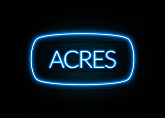 Acres  - colorful Neon Sign on brickwall
