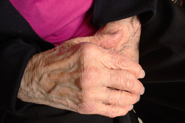 Fototapeta premium Hands of an elderly woman with wrinkles, prominent veining 