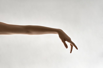 Closeup photo of female arm © Andriy Bezuglov