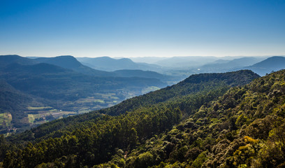 Fototapeta premium Brazilian nature