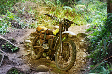 Abandoned motorcycle in forest